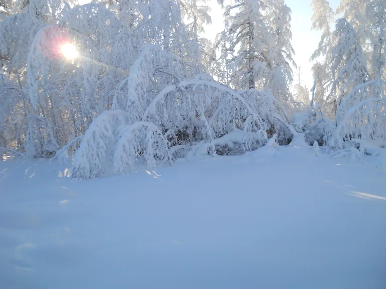 Одежда для Сибири: как кататься при -25...-40°C