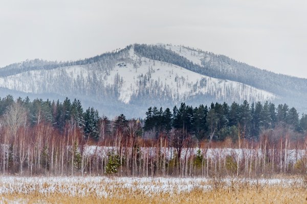 Егоза