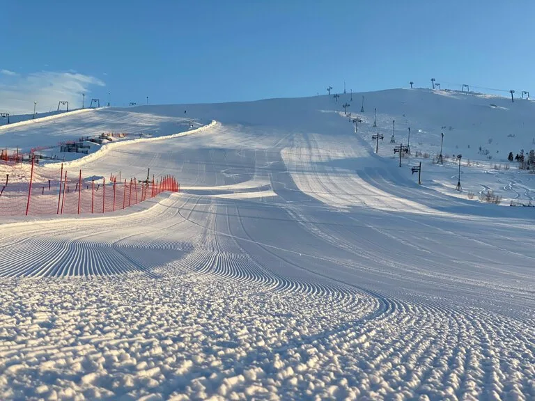 Мончегорск