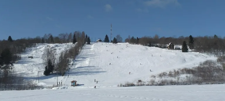 Спасская Губа